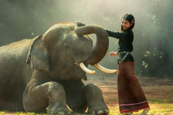 los humanos y el elefante
