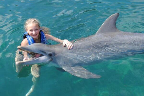 cuánto mide un delfín de largo