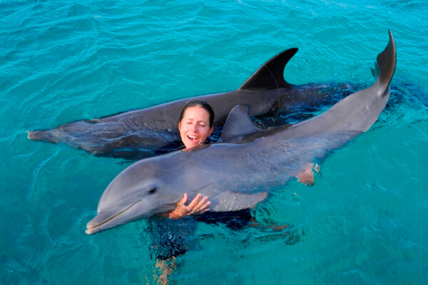 cuanto pesa un delfin al nacer
