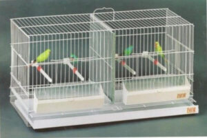 Jaulas para canarios | Cómo debe ser la jaula de un canario