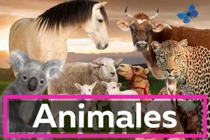 Todo sobre los animales